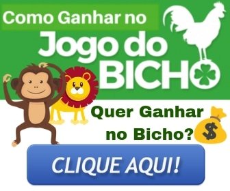 Como ganhar no jogo do bicho  Jogo do bicho dicas e macetes